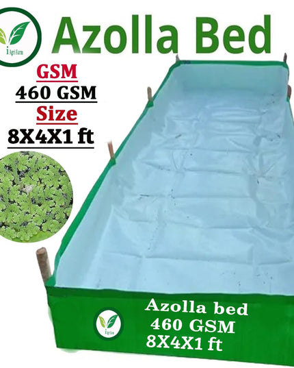 250 GSM HDPE UV Stabilize, (Green, 4ftx2ftx1 ft) - Pack of 1 - Mini Azolla Bed