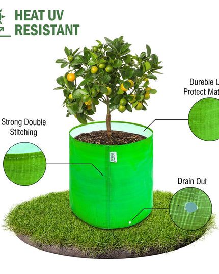 Anandi Green's Premium HDPE Uv Protected 260 GSM Round Shaped Green Colour Plants Grow Bags Suitable for Terrace and Vegetable Gardening 12x12 Inch Pack of 5 Grow Bags
