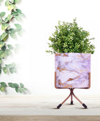 Marble Mirage White