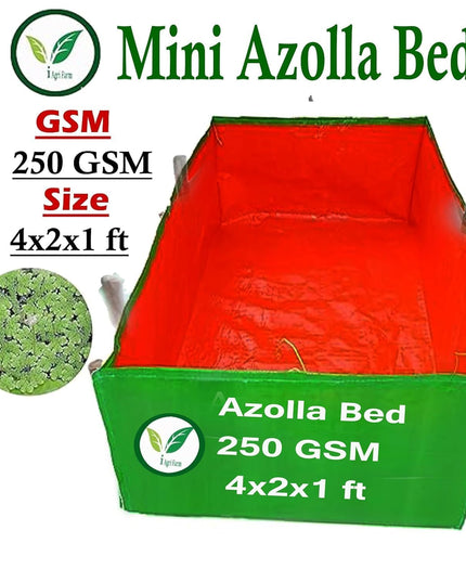 250 GSM HDPE UV Stabilize, (Green, 4ftx2ftx1 ft) - Pack of 1 - Mini Azolla Bed