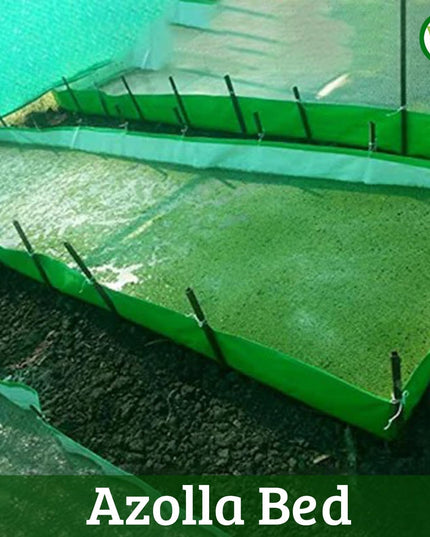 250 GSM HDPE UV Stabilize, (Green, 4ftx2ftx1 ft) - Pack of 1 - Mini Azolla Bed