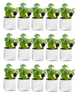 Pack Of 15 20x20x35 CM