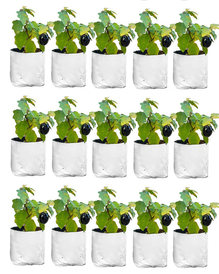 Anandi Green's White Color UV Protected Double Layer Poly Plastic Grow Bag for Home Garden Terrace Gardening Kitchen Gardening (Pack of 6 28x28x50 CM)