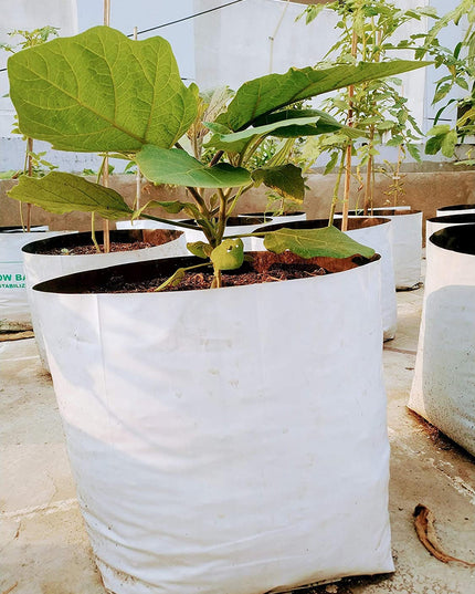 Anandi Green's White Color UV Protected Double Layer Poly Plastic Grow Bag for Home Garden Terrace Gardening Kitchen Gardening (Pack of 6 28x28x50 CM)