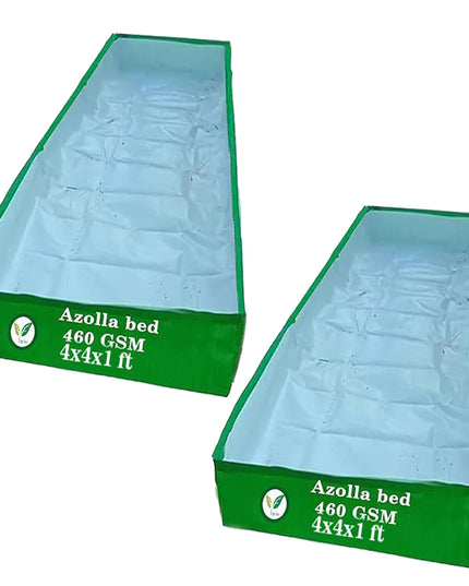 250 GSM HDPE UV Stabilize, (Green, 4ftx2ftx1 ft) - Pack of 1 - Mini Azolla Bed