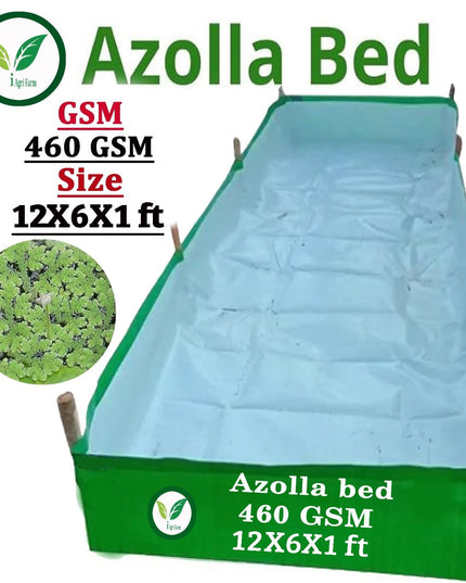250 GSM HDPE UV Stabilize, (Green, 4ftx2ftx1 ft) - Pack of 1 - Mini Azolla Bed