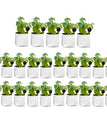 Pack Of 25 20x20x35 CM