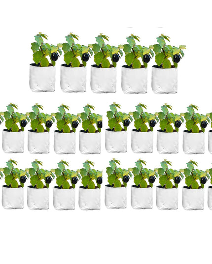 Anandi Green's White Color UV Protected Double Layer Poly Plastic Grow Bag for Home Garden Terrace Gardening Kitchen Gardening (Pack of 6 28x28x50 CM)