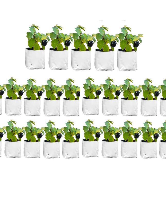 Anandi Green's White Color UV Protected Double Layer Poly Plastic Grow Bag for Home Garden Terrace Gardening Kitchen Gardening (Pack of 6 28x28x50 CM)