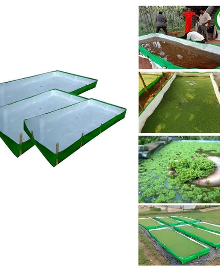 250 GSM HDPE UV Stabilize, (Green, 4ftx2ftx1 ft) - Pack of 1 - Mini Azolla Bed