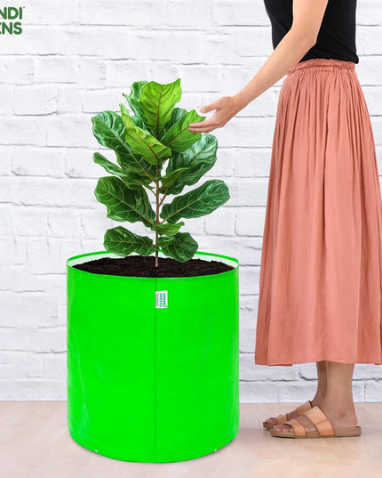 Anandi Green's Premium HDPE Uv Protected 260 GSM Round Shaped Green Colour Plants Grow Bags Suitable for Terrace and Vegetable Gardening 12x12 Inch Pack of 5 Grow Bags