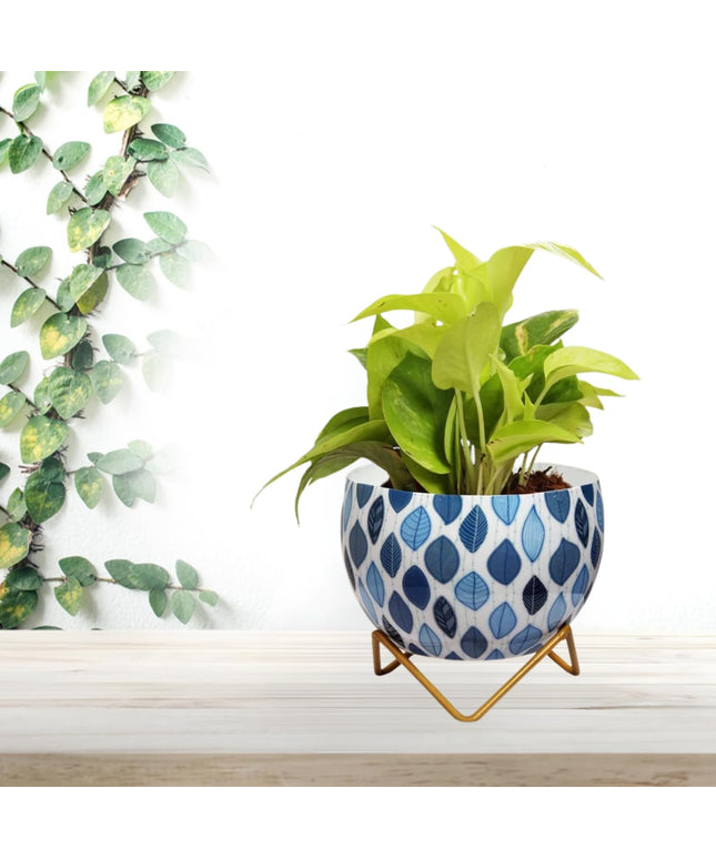 CINAGRO Metal Flower Vase Planter Pot with Iron Stand, Pots for Plants, Plant Pots for Home Decoration, Succulent Pot, Indoor Planter Garden Decor (Size: 6X6 inch) Style: Mandala Fusion Spectrum