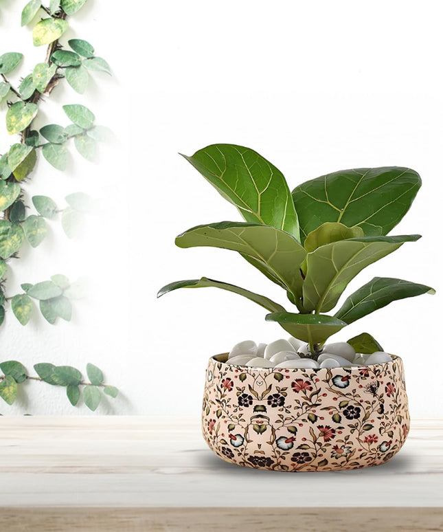 CINAGRO Metal Flower Vase Planter Pot with Iron Stand, Pots for Plants, Plant Pots for Home Decoration, Succulent Pot, Indoor Planter Garden Decor (Size: 6X6 inch) Style: Mandala Fusion Spectrum