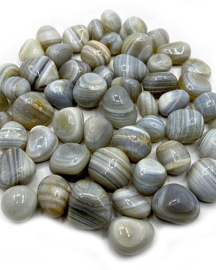 2 Kg Polished White Pebbles Stones for Plants Pots, Aquarium Fish Tank, Pebbles for Decoration, Garden, Table and Home Decor, Vase Fillers (2 Kg, White Stone)