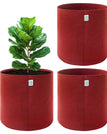 24x24 INCH Pack of 3 / Maroon