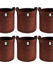 8x8 INCH Pack of 6 / Maroon