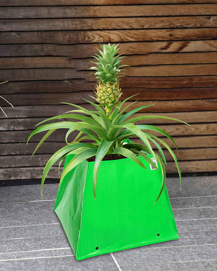 Anandi Green's Premium HDPE UV Protected 260 GSM Square Shaped Green Colour Plants Grow Bags Suitable for Terrace and Vegetable Gardening (Pack of 5, 24X12X9 INCH)