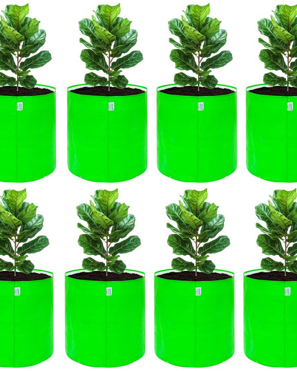 Anandi Green's Premium HDPE Uv Protected 260 GSM Round Shaped Green Colour Plants Grow Bags Suitable for Terrace and Vegetable Gardening 12x12 Inch Pack of 5 Grow Bags