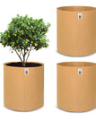 24x24 INCH Pack of 3 / Cemal
