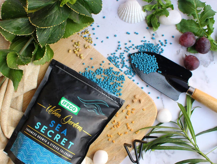 IFFCO Urban Gardens - Sea Secret 1 Kg - Seaweed Extract Granules - Organic Growth Promoter for Plants - Suitable for All types of Plants