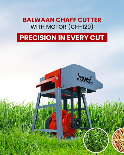 BALWAAN Krishi Chaff Cutter CH-120 with 2HP Motor, Comes with 4 Pieces Blade and RPM is 1440 | Suitable for Cutting up Straw or Hay for Fodder into Small Pieces Use for Small Dairy Farming