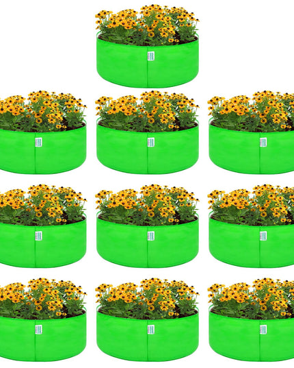 Anandi Green's Premium HDPE Uv Protected 260 GSM Round Shaped Green Colour Plants Grow Bags Suitable for Terrace and Vegetable Gardening 12x12 Inch Pack of 5 Grow Bags
