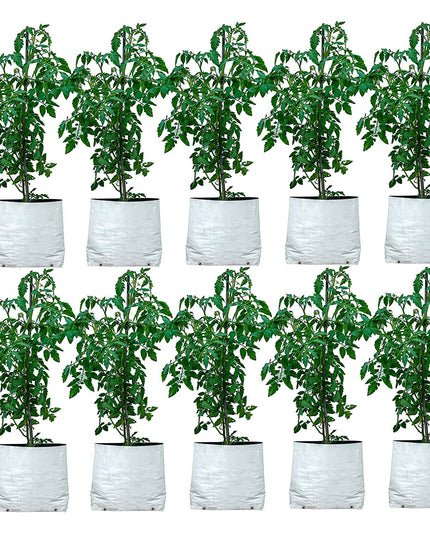 Anandi Green's White Color UV Protected Double Layer Poly Plastic Grow Bag for Home Garden Terrace Gardening Kitchen Gardening (Pack of 6 28x28x50 CM)