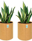 6x6 INCH Pack of 2 / Cemal