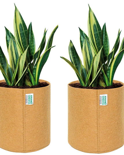 Anandi Green's 400 GSM Eco Friendly Geo Fabric Plant Grow Bag Suitable for Terrace and Flowers Vegetable Gardening 6x6 inch Maroon Color Pack of 10
