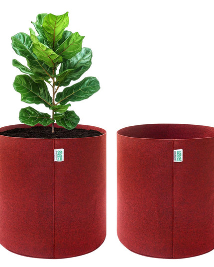 Anandi Green's 400 GSM Eco Friendly Geo Fabric Plant Grow Bag Suitable for Terrace and Flowers Vegetable Gardening 6x6 inch Maroon Color Pack of 10