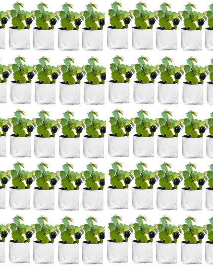 Anandi Green's White Color UV Protected Double Layer Poly Plastic Grow Bag for Home Garden Terrace Gardening Kitchen Gardening (Pack of 6 28x28x50 CM)