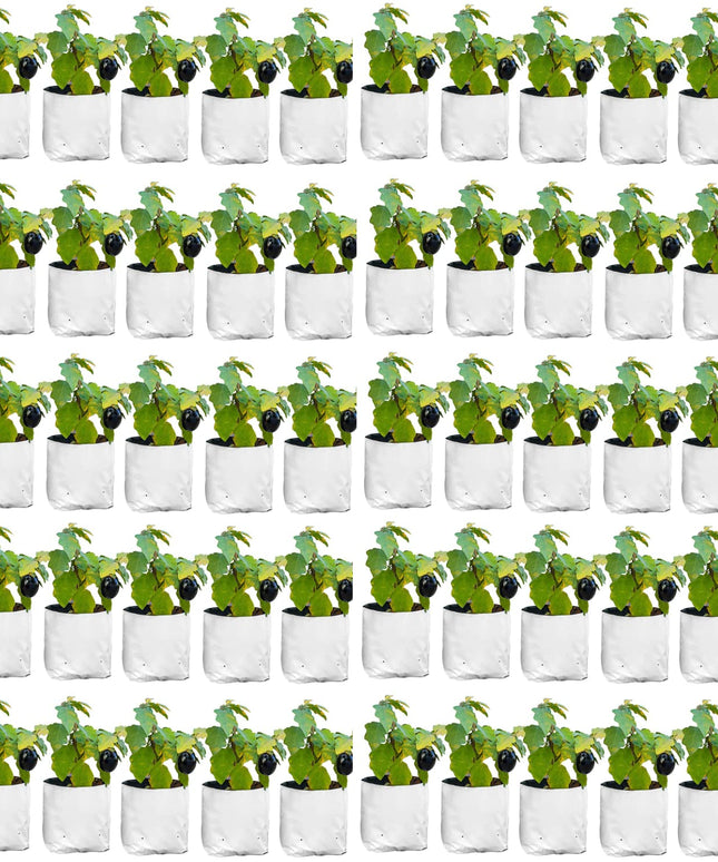 Anandi Green's White Color UV Protected Double Layer Poly Plastic Grow Bag for Home Garden Terrace Gardening Kitchen Gardening (Pack of 6 28x28x50 CM)