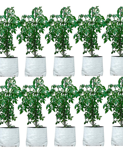 Anandi Green's White Color UV Protected Double Layer Poly Plastic Grow Bag for Home Garden Terrace Gardening Kitchen Gardening (Pack of 6 28x28x50 CM)