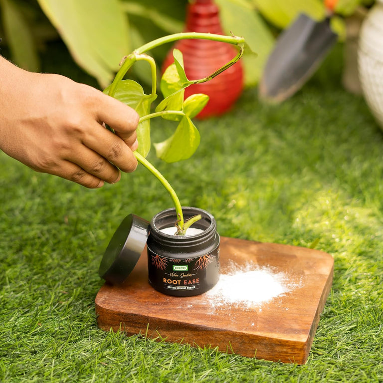IFFCO Urban Gardens - Root Ease - 50gm - Rooting Hormone Powder - Promote Fast Root Growth from Plant Cuttings & Grafting - All Purpose Plant Growth Nutrition